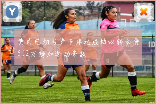 费内巴切与卢卡库达成协议转会费512万镑加浮动条款