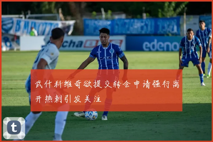 武什科维奇欲提交转会申请强行离开热刺引发关注
